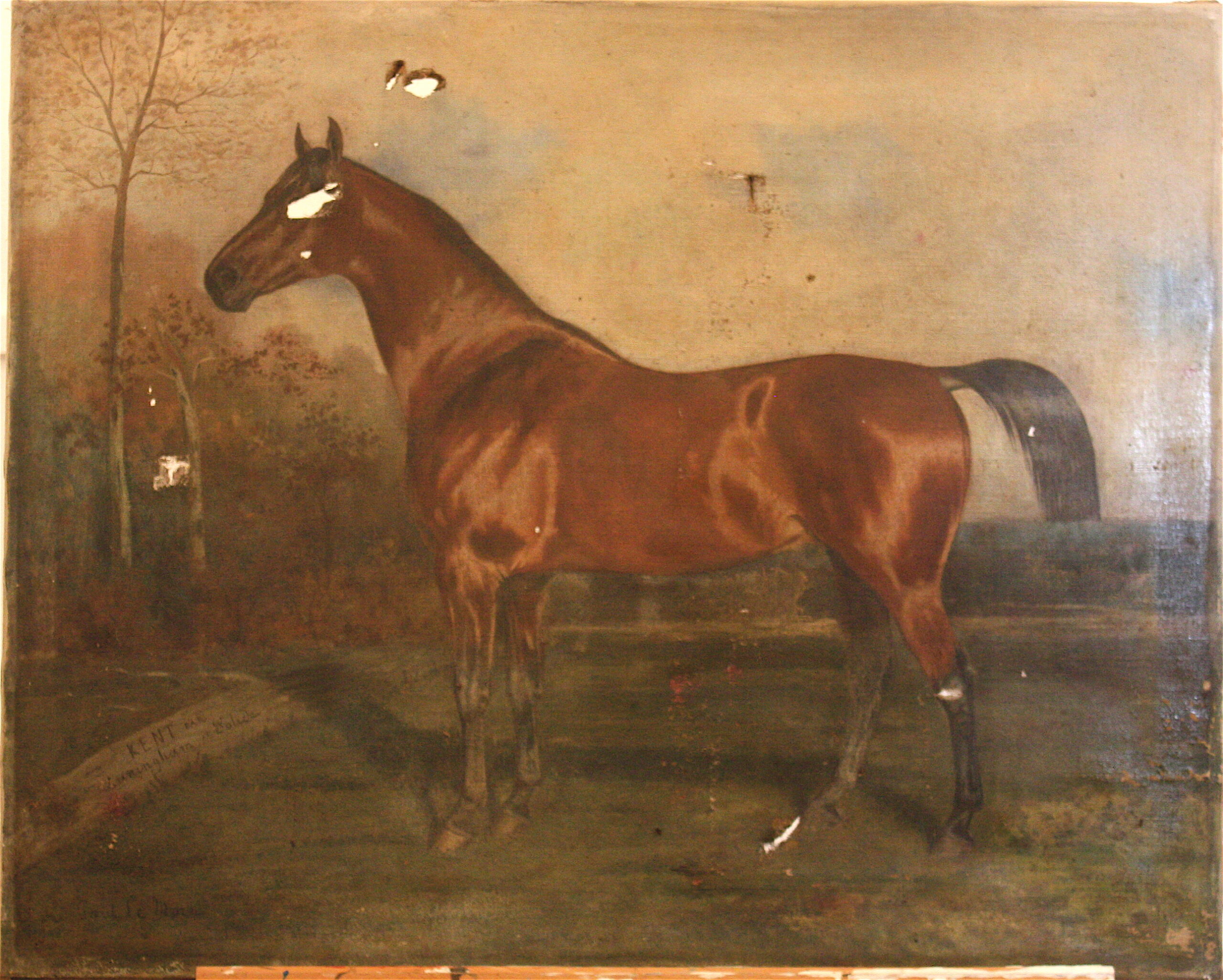 Restauration de peinture Paris 21